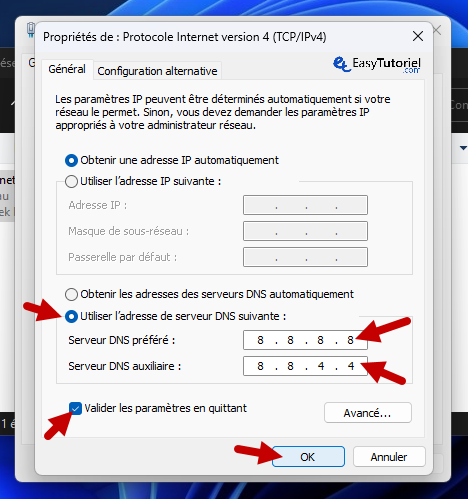 Impossible de trouver l'adresse IP du serveur Chrome 4, utilisez l'adresse DNS