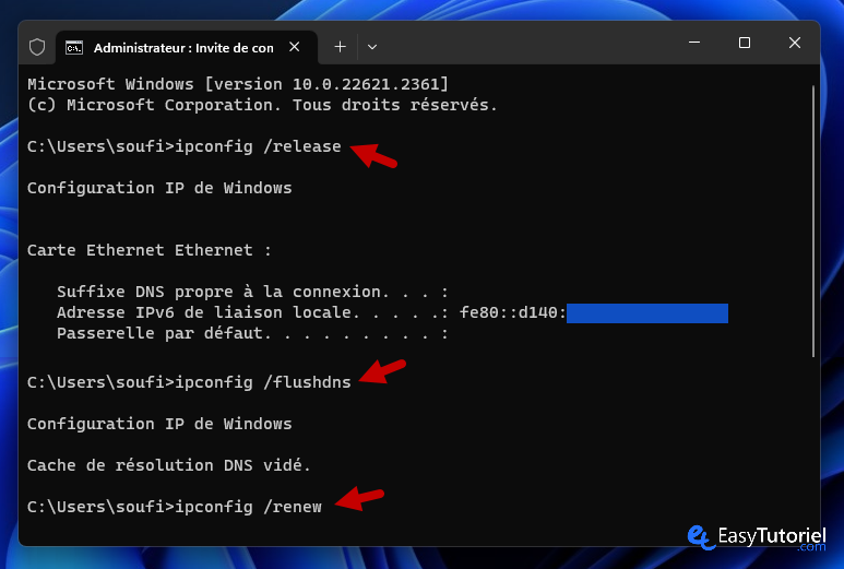 impossible de trouver l'adresse IP du serveur Chrome 6 ipconfig lancer flushdns renouveler