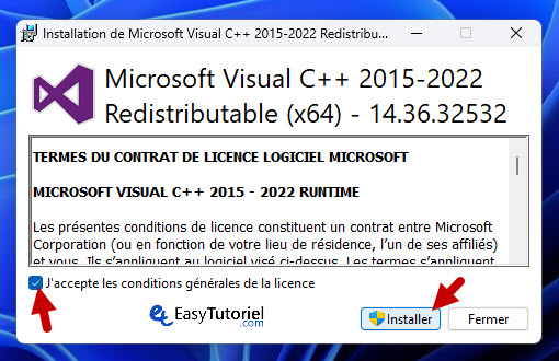 cs2 8 solution de bug Microsoft C