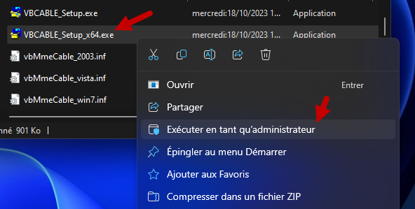 câble VB Windows 3 exécuté en tant qu'administrateur