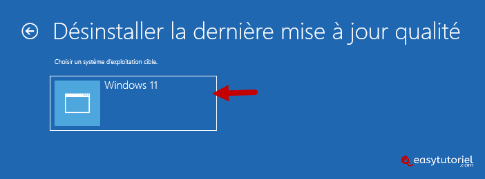 erreur d'écran bleu 9 Windows 11