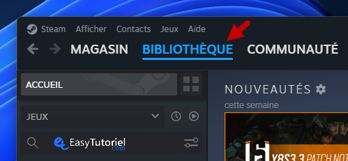 bibliothèque Steam