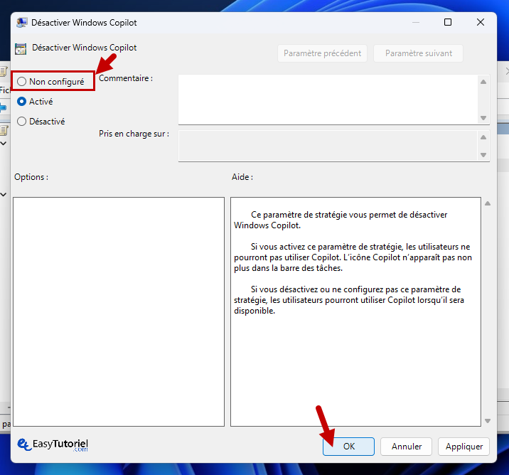 activer copilot windows 11 9 non configuré