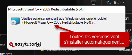 Erreur de retraite 0xc00007b Windows 4 Solution logicielle Microsoft Visual C