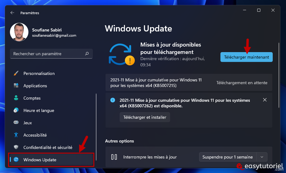 Erreur de retraite 0xc00007b Windows 16 Solution Paramètres de mise à jour Windows
