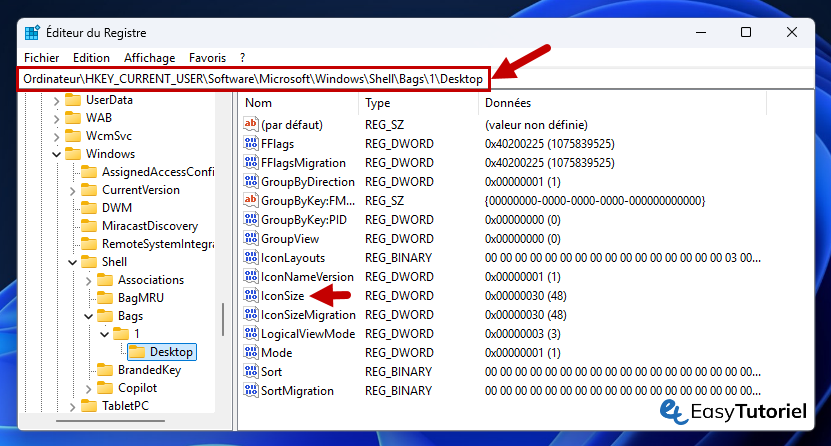 Regiscit hkey actuel de l'utilisateur de bureau ICONSIZE Editor