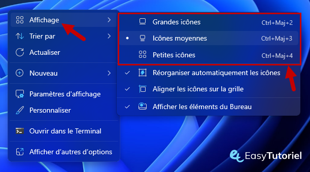 Modifier le menu de taille d'icône