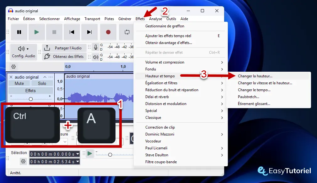 Audacy Sélectionnez tout effet Modifier la hauteur