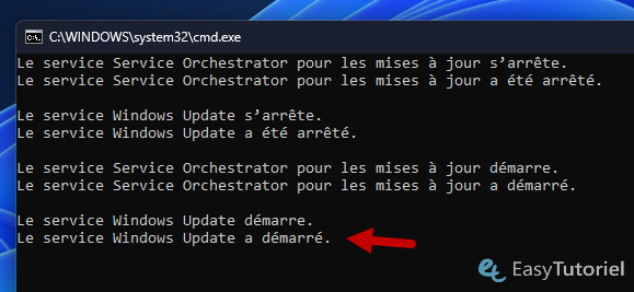 Démarrent les services creusés